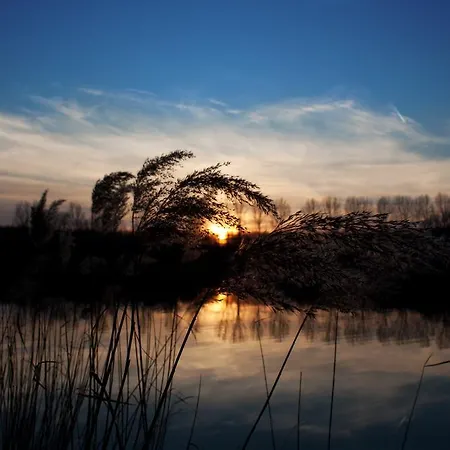 Hotel Restaurant Hackmann-atter