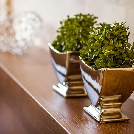 Restaurant Hackmann-atter Hotel