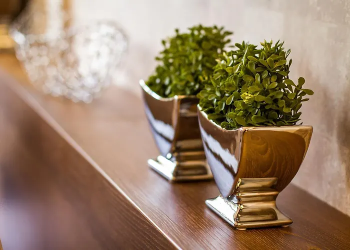 Restaurant Hackmann-atter Szálloda